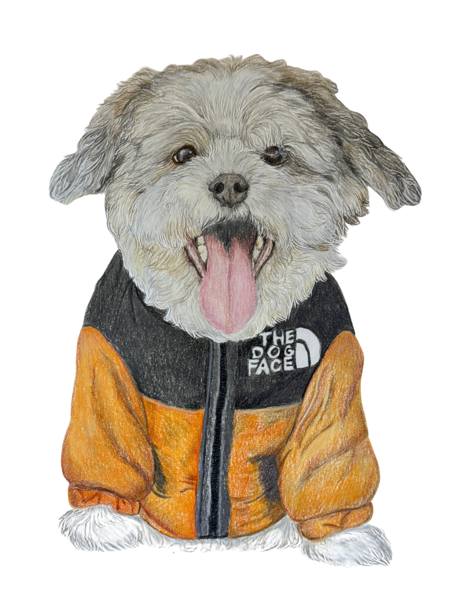 Retratos de Mascotas