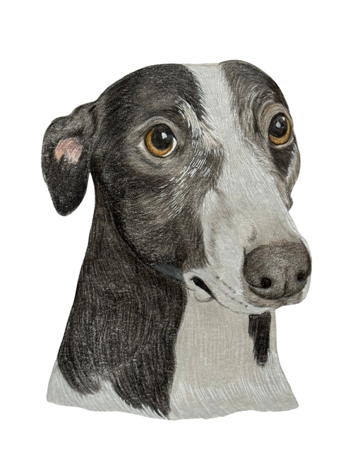 Retrato de Mascota Lápices de colores - 20x25 cm