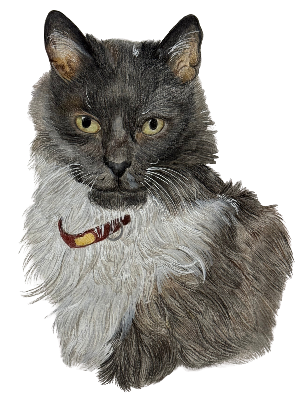 Retrato de Mascota Lápices de Colores - 30 x 40 cm