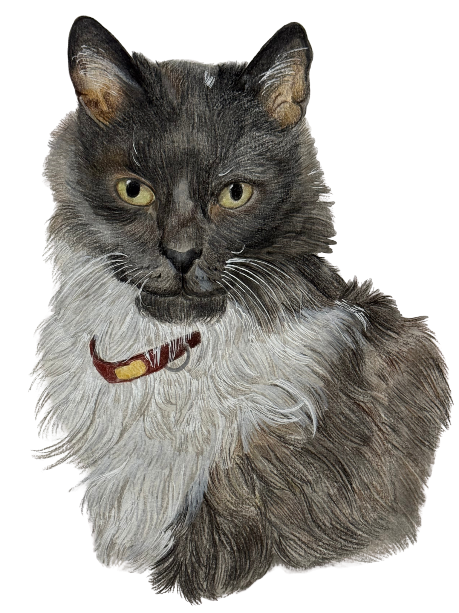 Retrato de Mascota Lápices de Colores - 30 x 40 cm