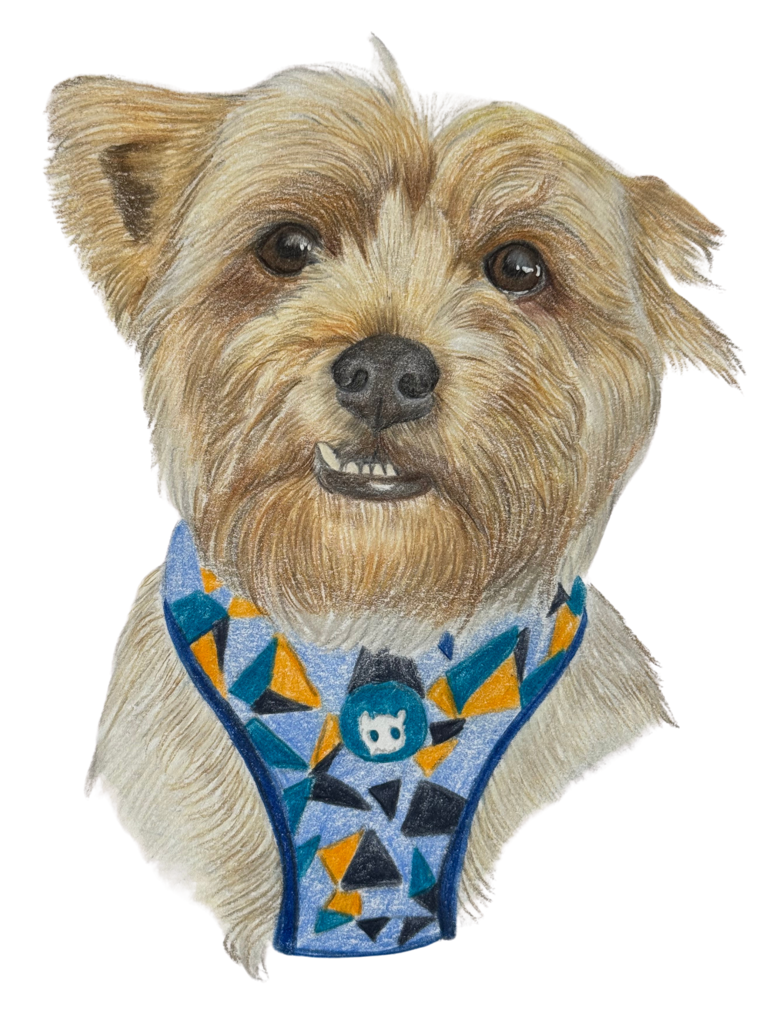 Retrato de tu Mascota Lápices de colores - 15x20 cm