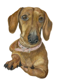 Retrato de Mascota Lápices de colores - 21x30 cm
