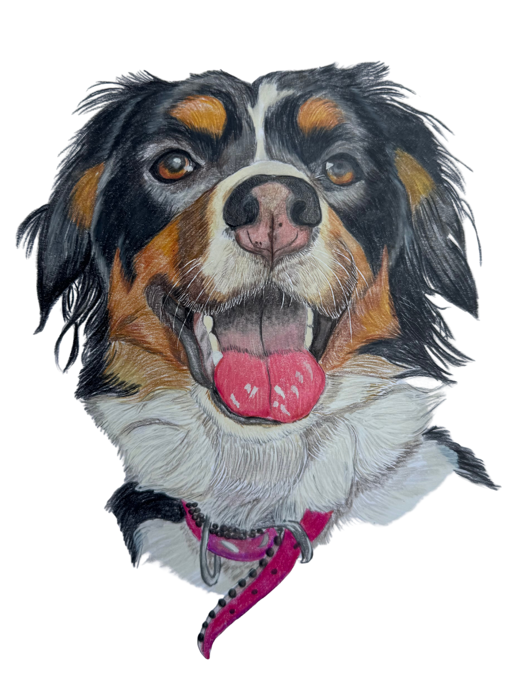 Retrato de Mascota Lápices de colores - 21x30 cm
