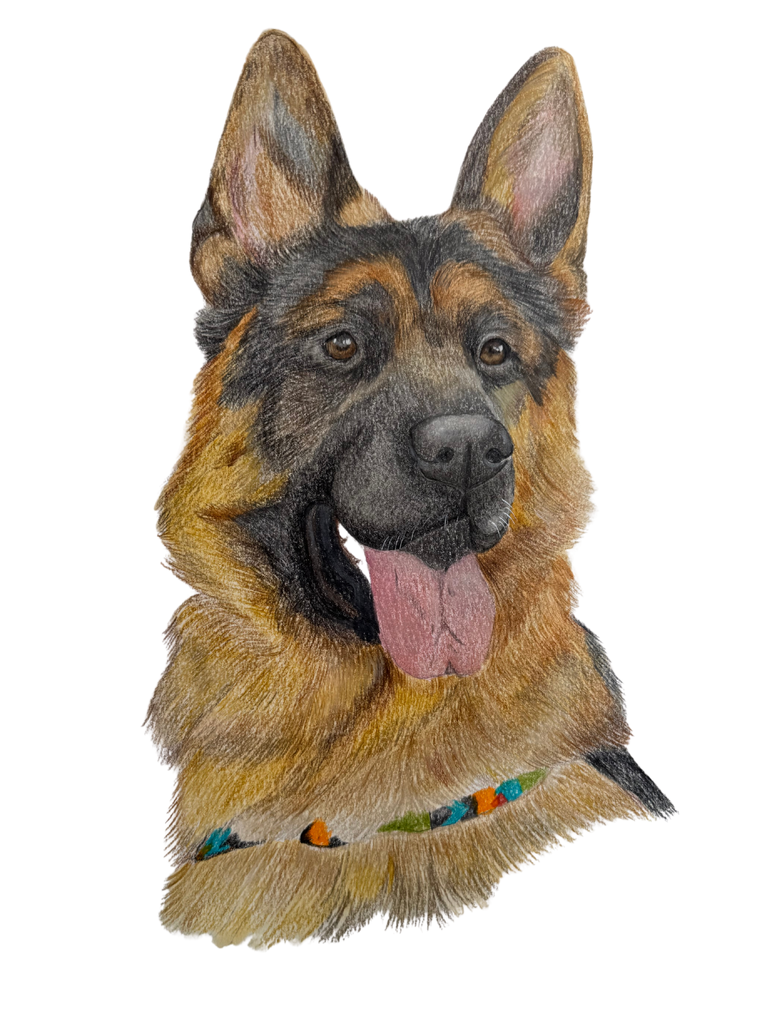 Retrato de Mascota Lápices de Colores - 30 x 40 cm