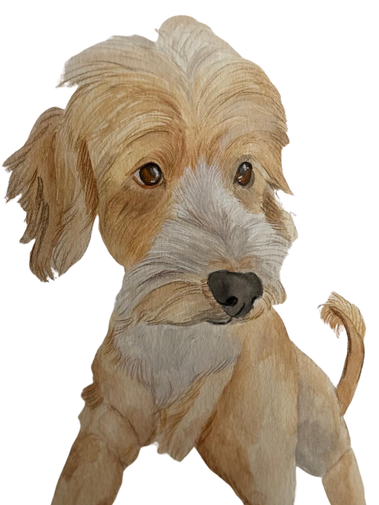 Retrato de Mascota - Acuarela Flash