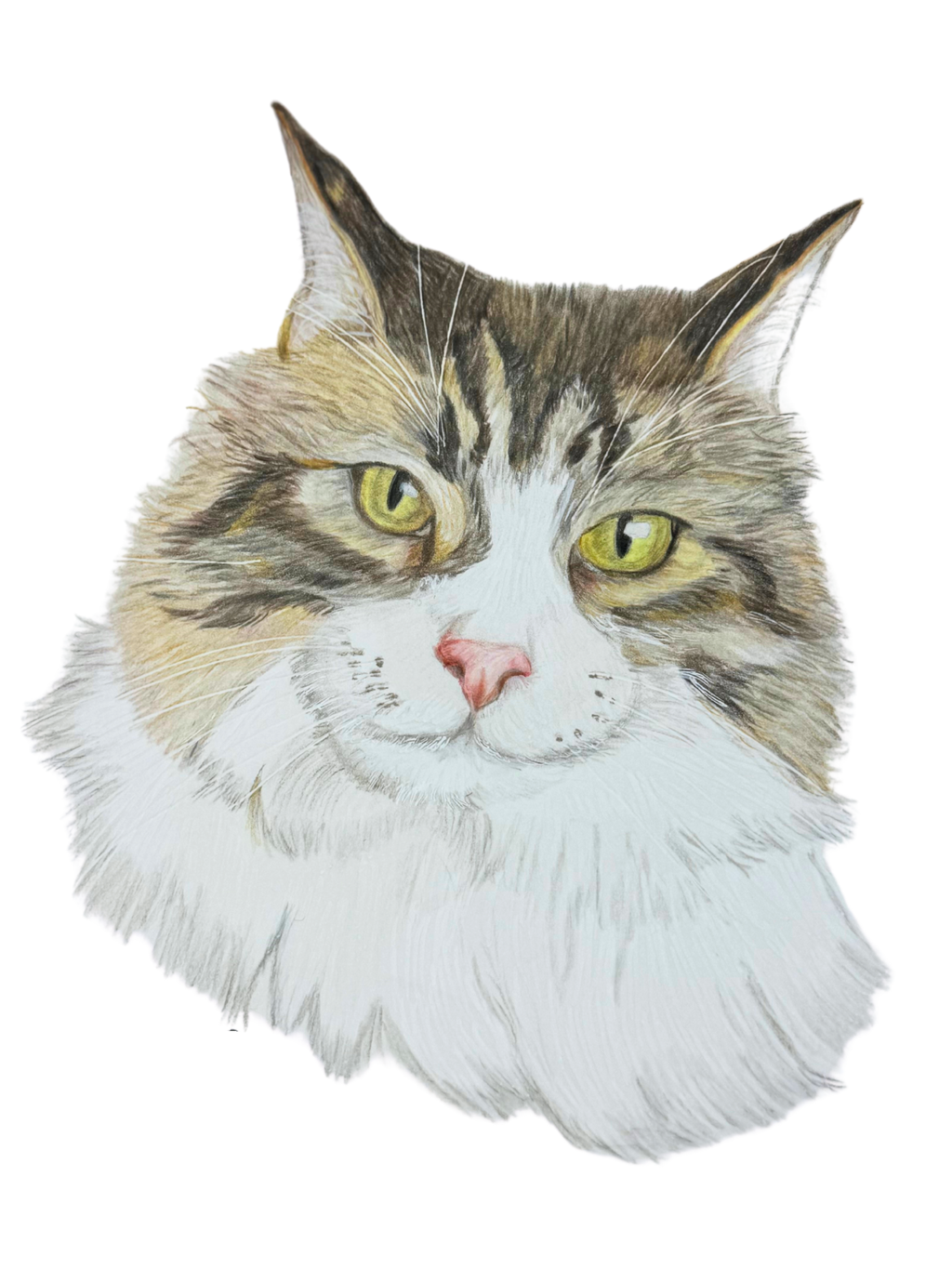 Retrato de tu Mascota Lápices de colores - 15x20 cm