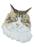 Retrato de tu Mascota Lápices de colores - 15x20 cm