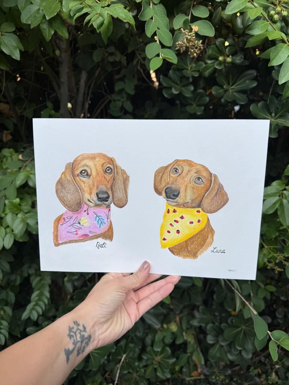 Retrato de Mascota Lápices de colores - 21x30 cm
