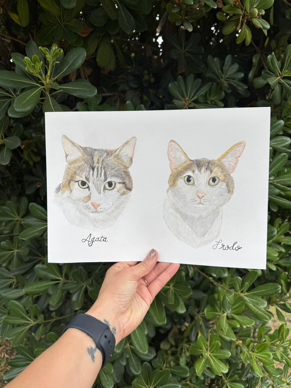 Retrato de Mascota Lápices de colores - 21x30 cm