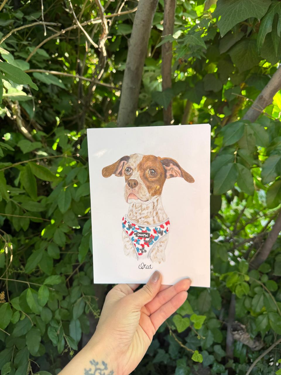 Retrato de tu Mascota Lápices de colores - 15x20 cm