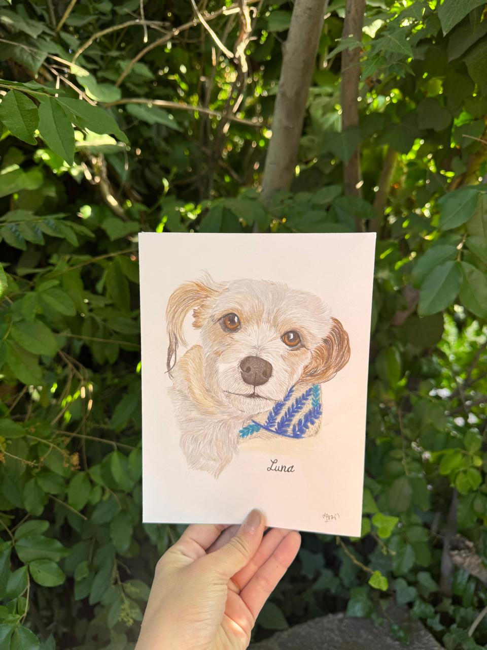 Retrato de tu Mascota Lápices de colores - 15x20 cm