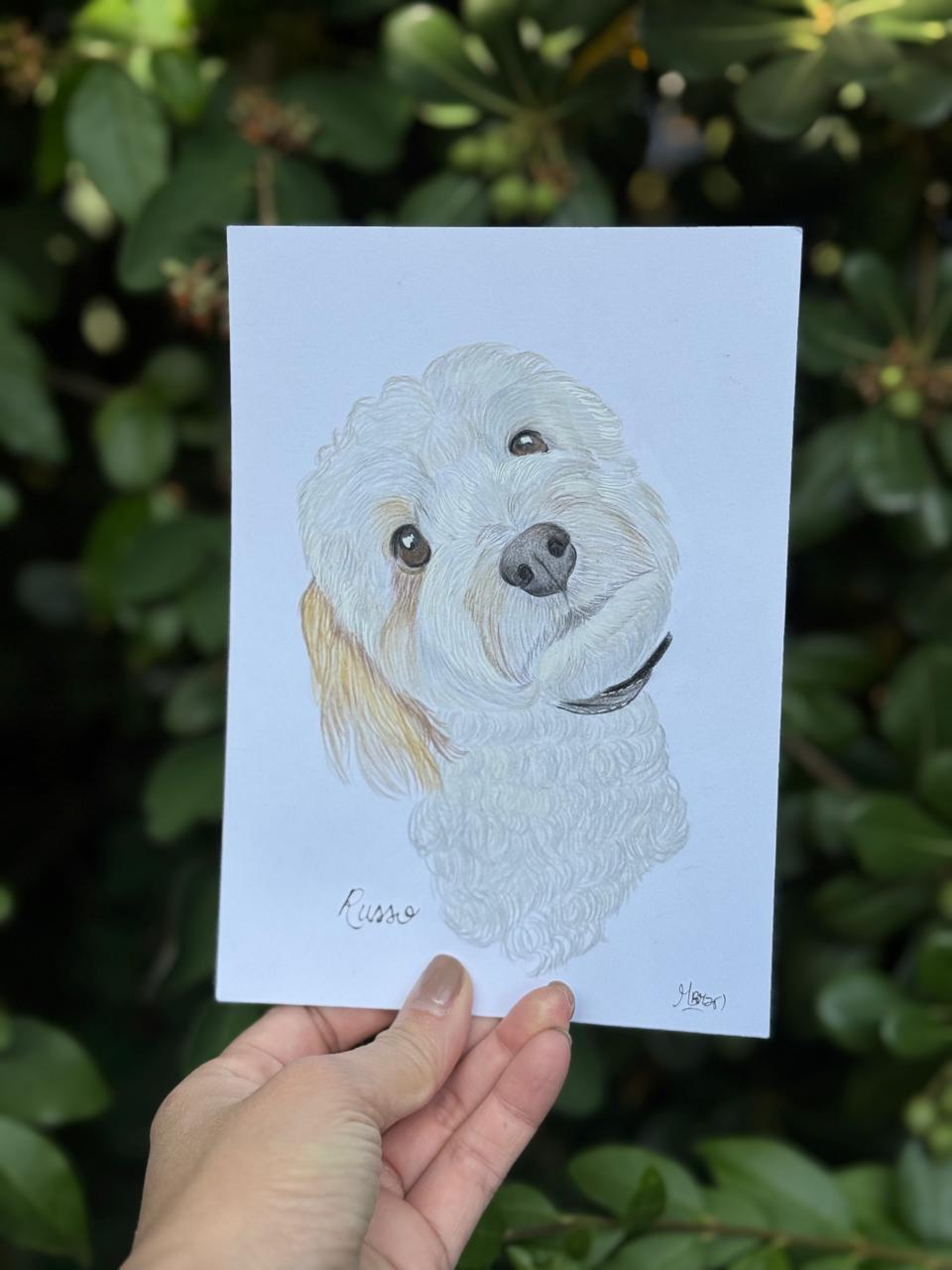 Retrato de tu Mascota Lápices de colores - 15x20 cm